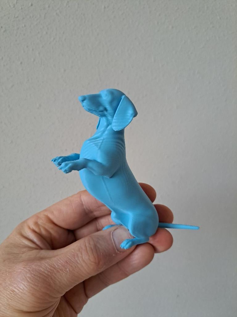 Lichtblauw 3d print Teckel hond, PLA 10x3.5x10cm UNIEK, Ophalen of Verzenden, Nieuw, Hond of Kat, Beeldje of Figuurtje