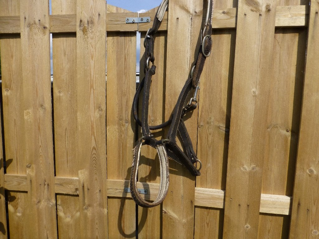 hoofdstel voor paard, Dieren en Toebehoren, Ophalen, Overige disciplines, Overige kleuren, Hoofdstel