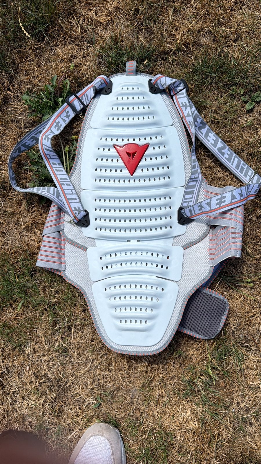 Dainese Wave 2 Rugbeschermer voor Snowboarden, Kleding | Dames, Wintersportkleding, Ophalen of Verzenden, Zo goed als nieuw, Maat 36 (S)
