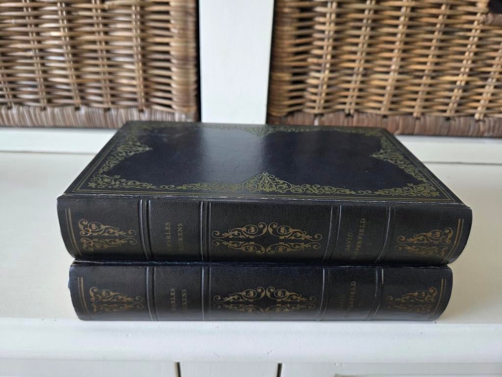 Charles Dickens - David Copperfield (1 en 2), Boeken, Ophalen of Verzenden, Gelezen
