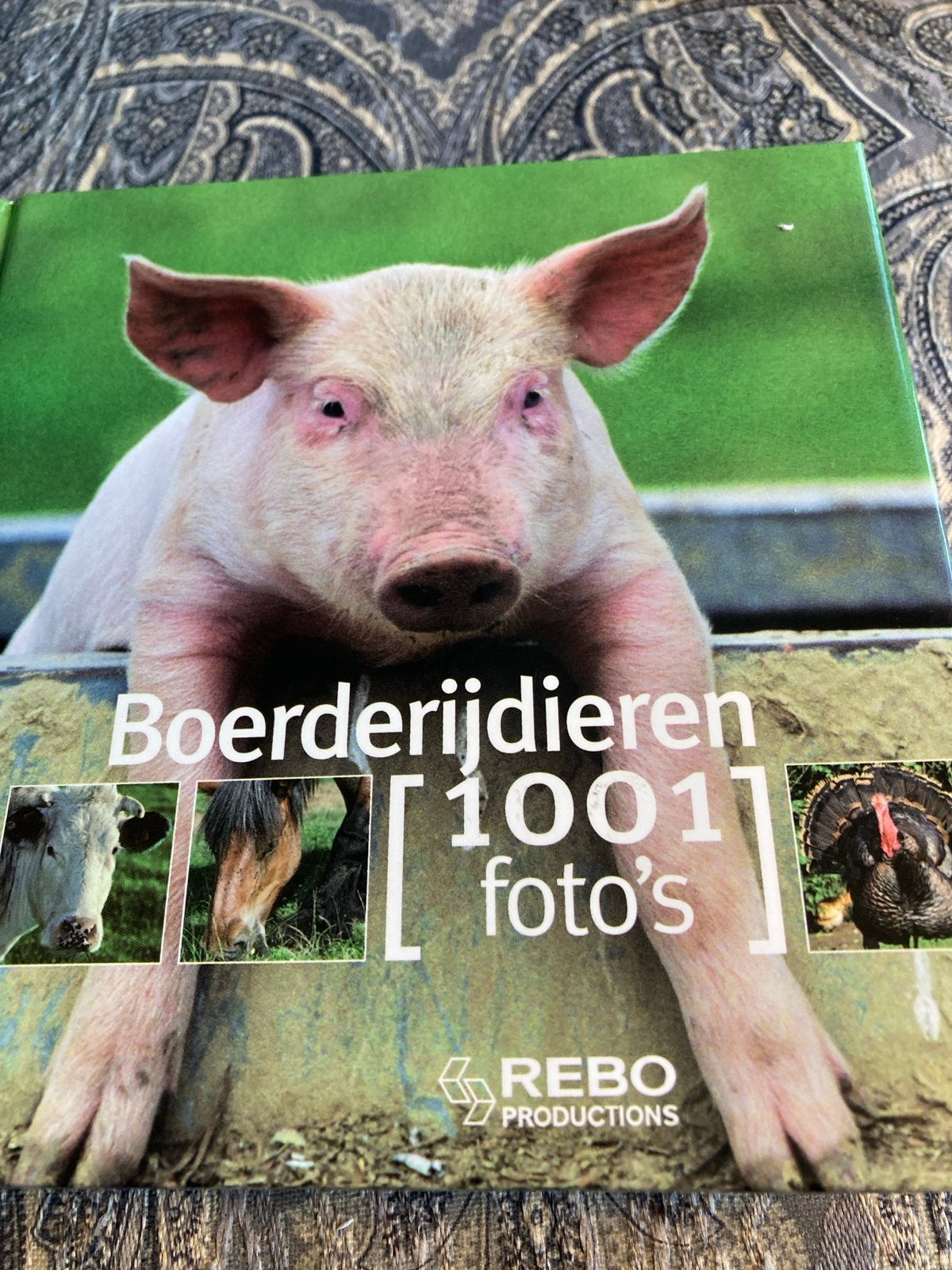 Boerderijdieren: 1001 foto's -Rebo. Kubus formaat, Ophalen, Zo goed als nieuw, Vee
