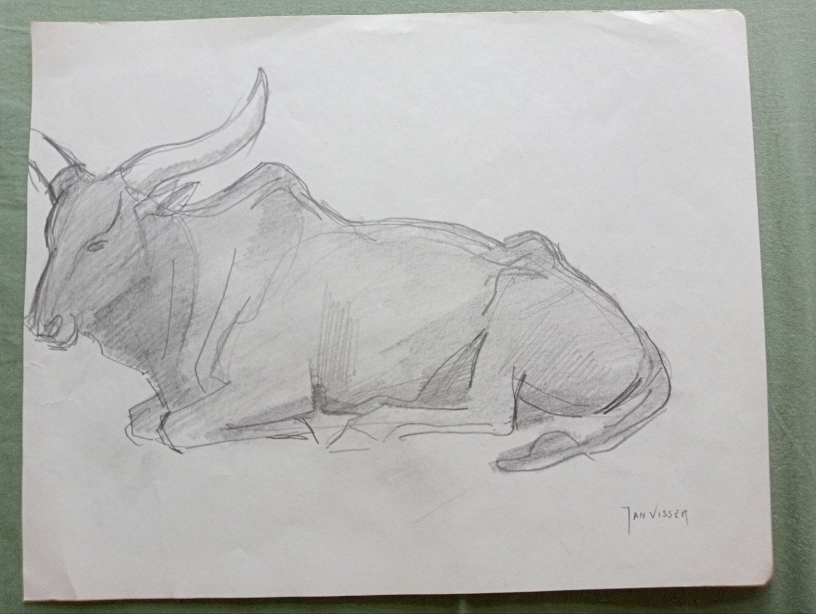 Jan Visser tekening Buffel jaren 40-50 Blijdorp Rotterdam, Antiek en Kunst, Kunst | Tekeningen en Foto's, Ophalen of Verzenden