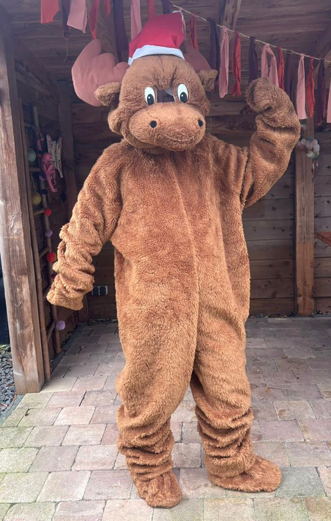 Mascotte kostuums te huur 25 euro per dag, Ophalen of Verzenden, Zo goed als nieuw, Overige