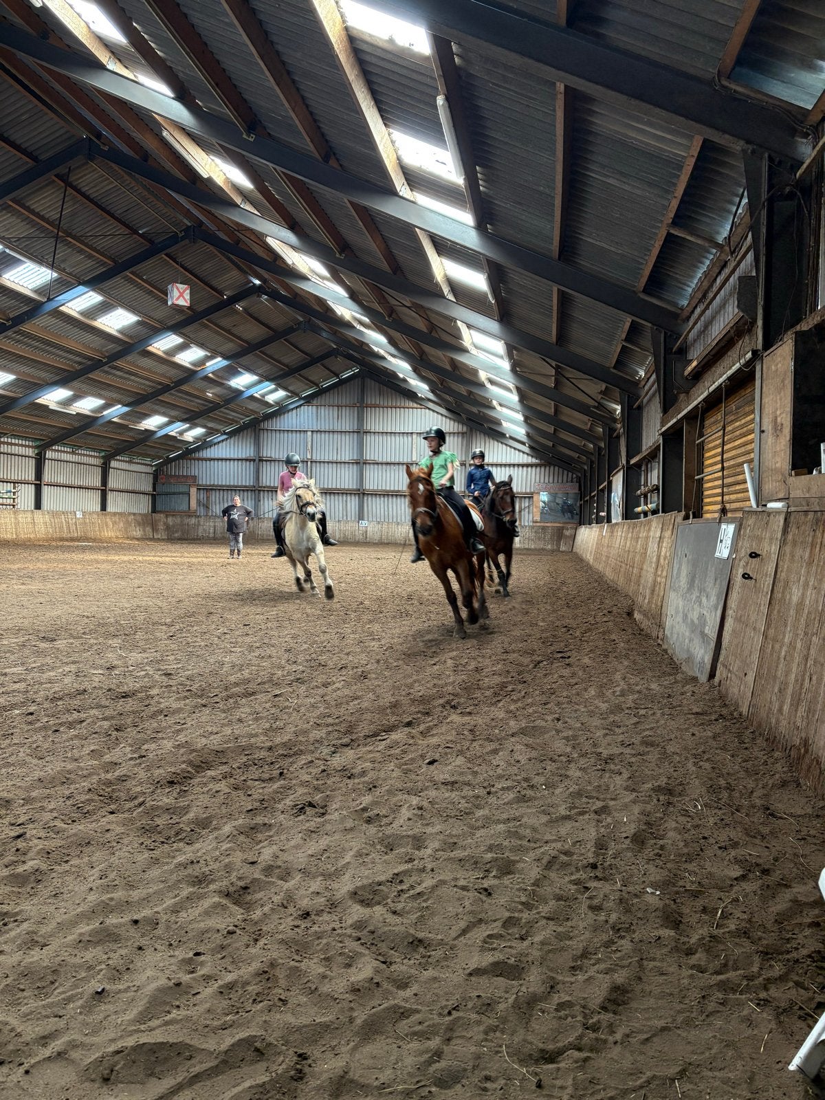 Verzorg pony of paard gezocht, Ophalen of Verzenden, Nieuw
