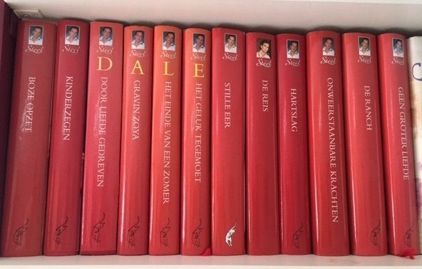 Boeken Danielle Steel, Boeken, Romans, Zo goed als nieuw, Amerika, Ophalen of Verzenden
