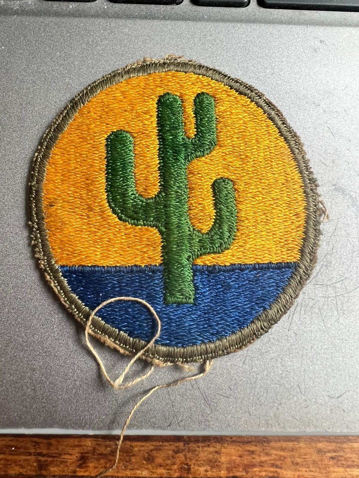 WO2 Amerikaans 103rd Infantry Division Patch embleem cactus, Amerika, Verzenden, Embleem of Badge