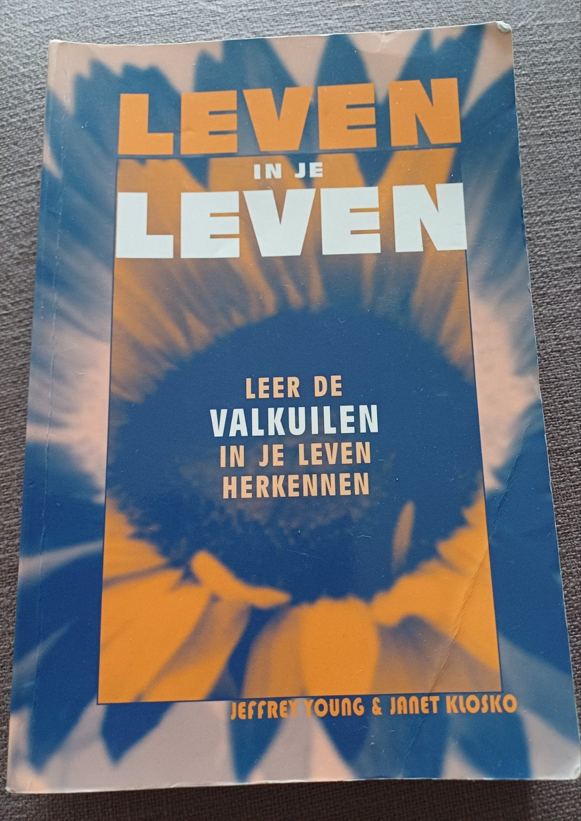 Leven in je Leven - Jeffrey Young, Boeken, Ophalen of Verzenden, Gelezen