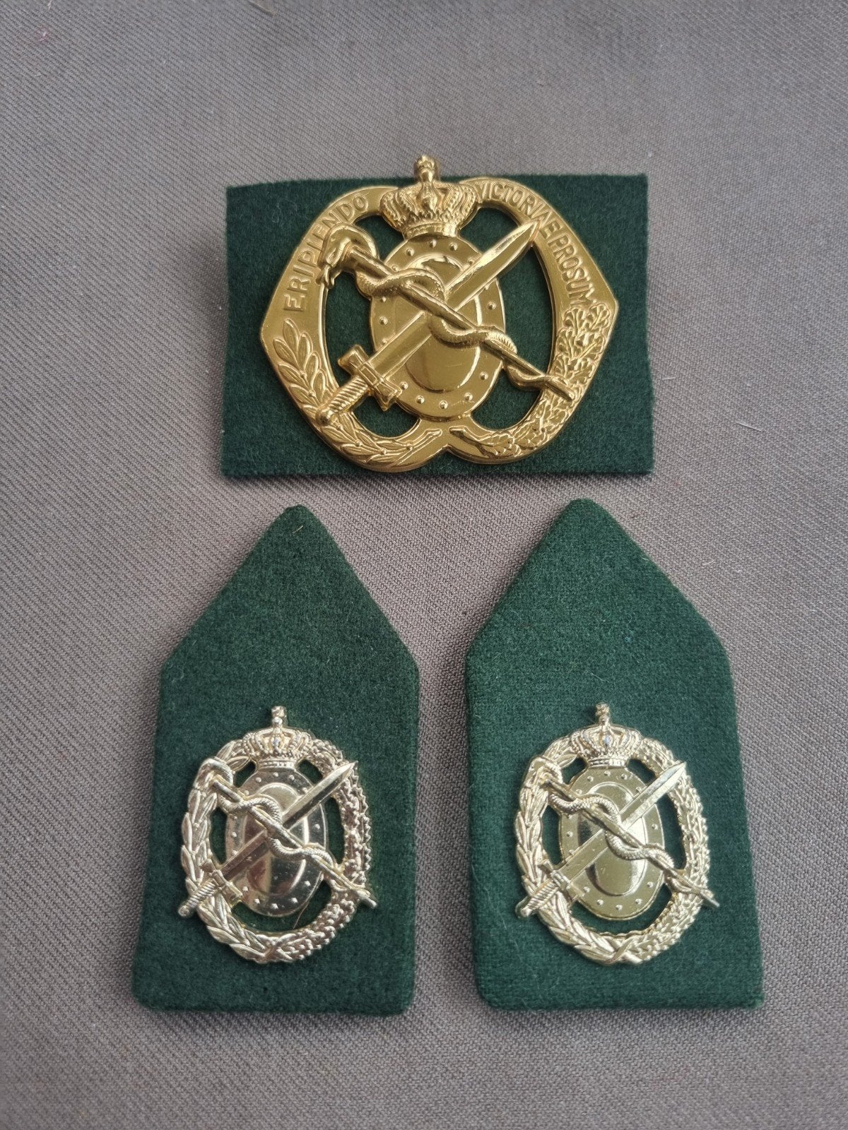 Setje Regiment Geneeskundige dienst (natosluiting), Ophalen of Verzenden, Landmacht, Nederland, Embleem of Badge