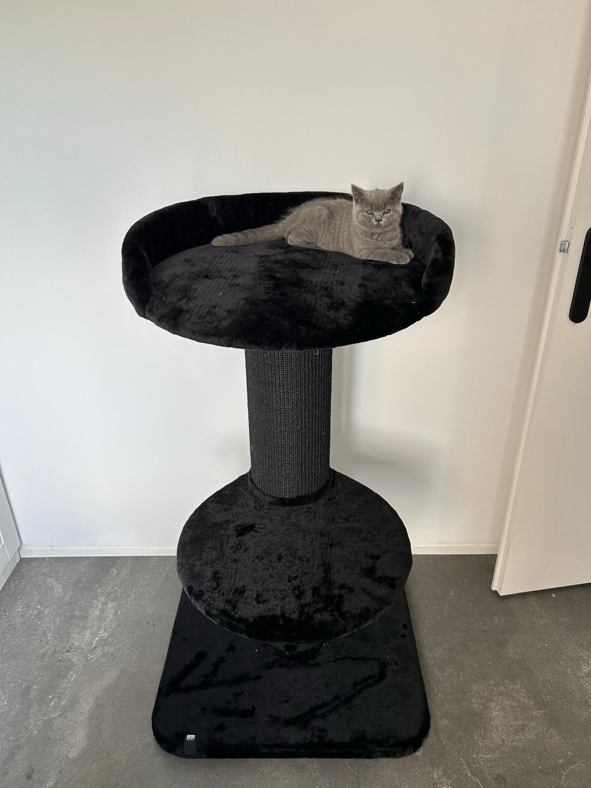 Mooie krabpaal 120 cm hoog, Dieren en Toebehoren, Ophalen, Zo goed als nieuw
