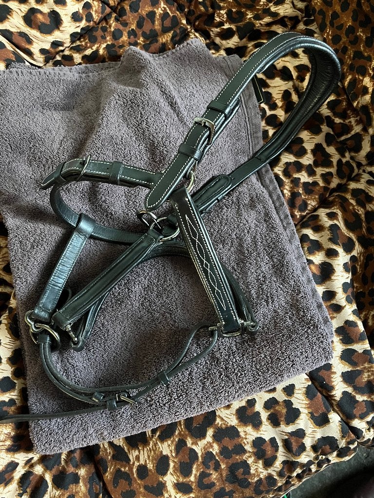 Leren halster maat cob, Ophalen of Verzenden, Nieuw