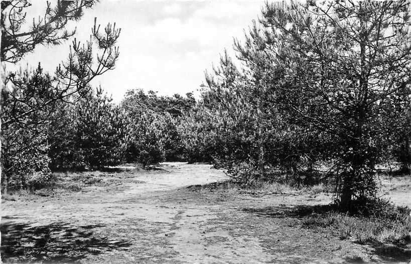 380-649-001 Lochem Ruighenrode, Verzenden, Voor 1920, Gelderland