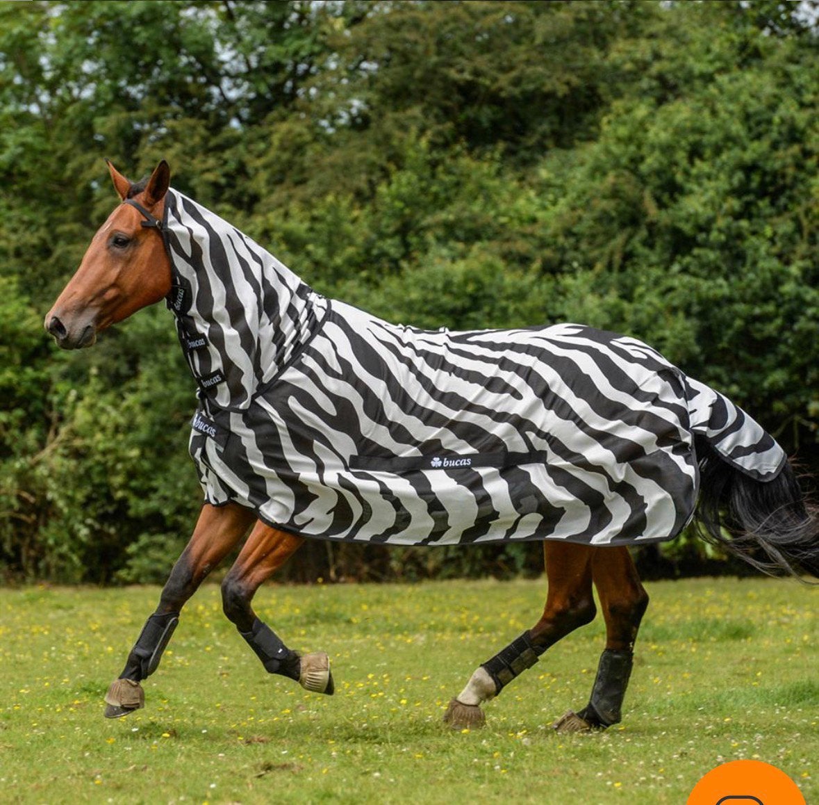 Bucas vliegendeken - buzz off & neck zebra 140/191, Dieren en Toebehoren, Ophalen of Verzenden, Zo goed als nieuw, Overige soorten