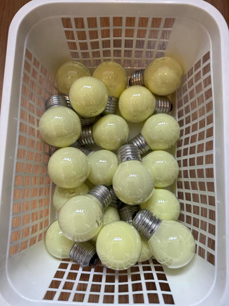 20x Philips Partylamp Geel 15W - Gebruikt, Goede Staat, Gebruikt, Minder dan 30 watt, Gloeilamp, E27 (groot)