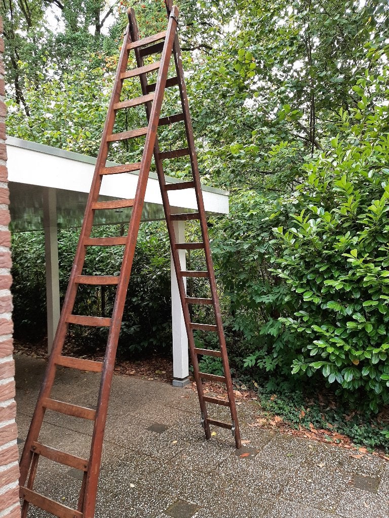 Houten uitgebogen opsteek ladder, Doe-het-zelf en Verbouw, Ladders en Trappen, Ophalen, Gebruikt, Ladder, Opvouwbaar of Inschuifbaar