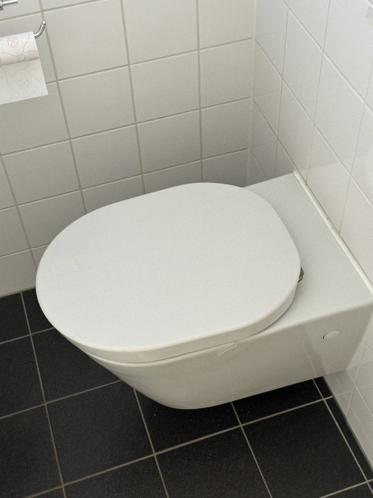 Wit hangend toilet, Ophalen, Gebruikt, Steen, Toilet