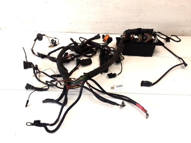 R1150R 2001 - 2006 BMW Kabelboom Kabelboom hoofd D1-55733
