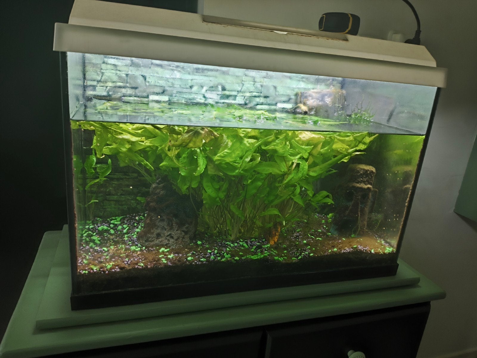 Aquarium 70 liter