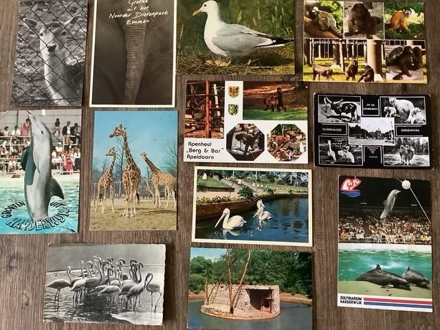 25x Dierentuin Vogelpark-Safaripark-Wildpark-Dolfinarium etc, Verzenden, Zo goed als nieuw, Overige soorten, Overige typen
