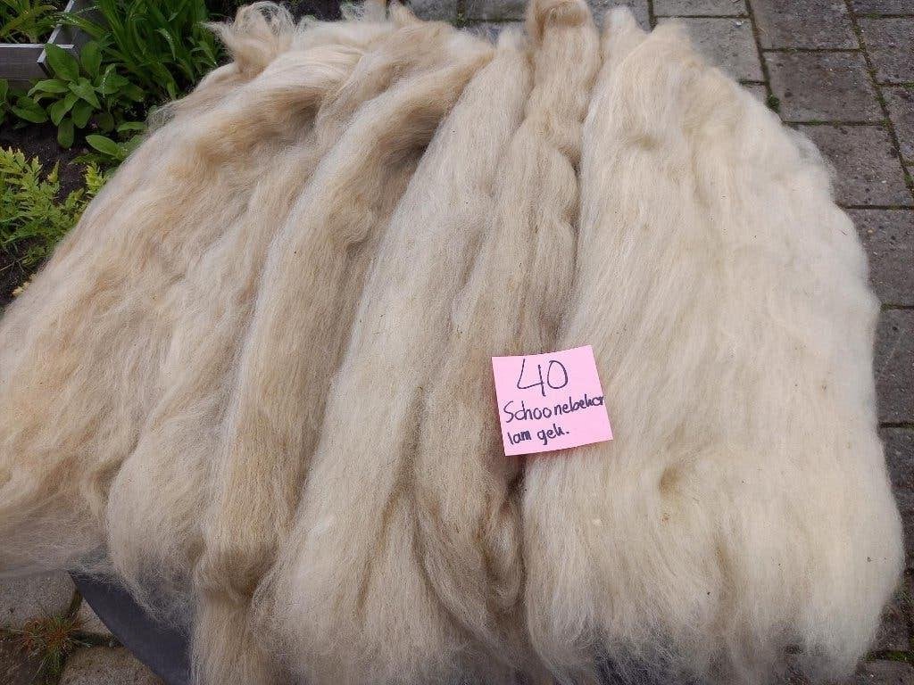 nr 40 Gekaarde wol kaardvlies van een Schoonebeker lam, Ophalen of Verzenden, Nieuw