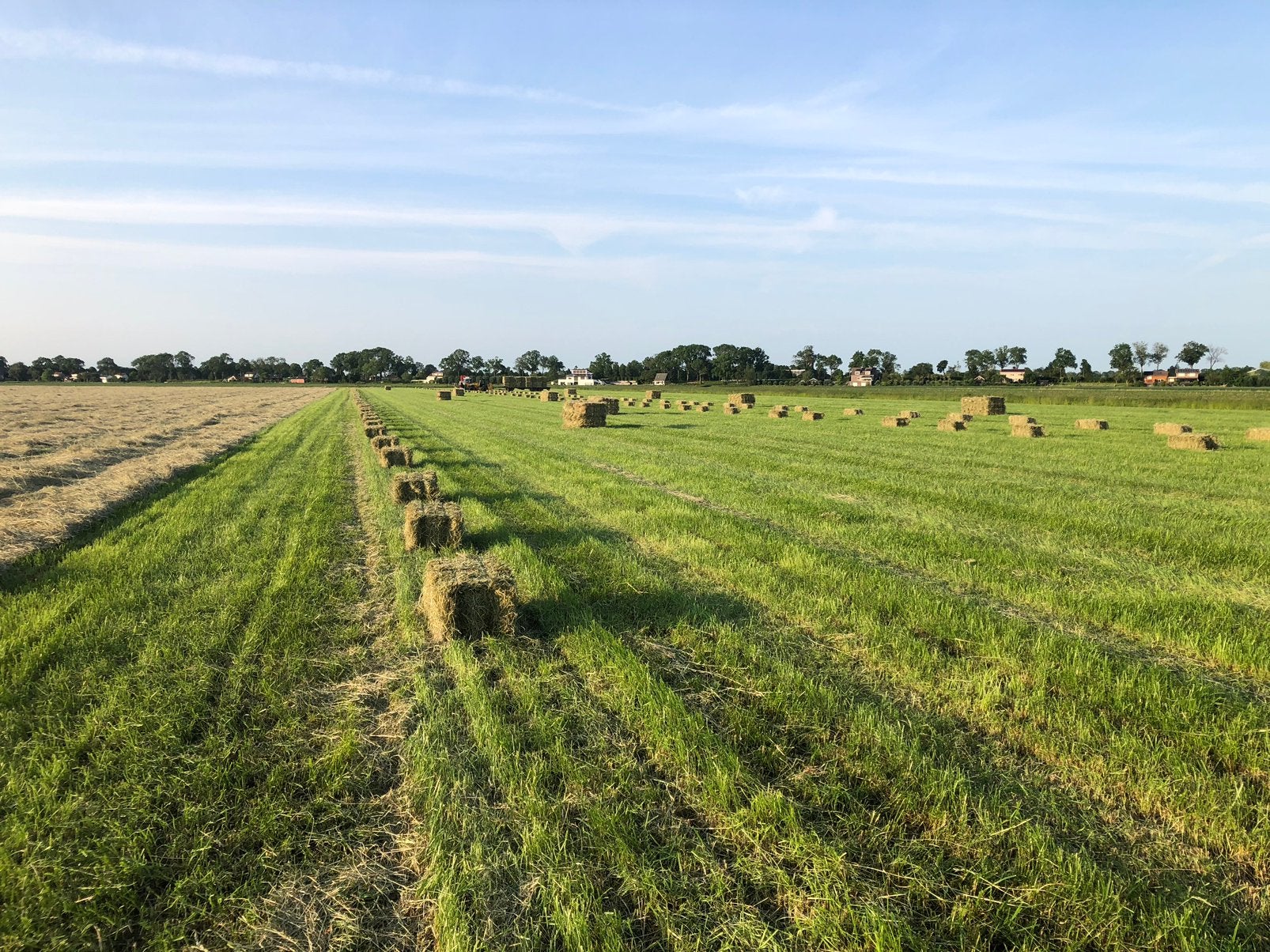 Hooi en stro, Dieren en Toebehoren, Ophalen, Vee