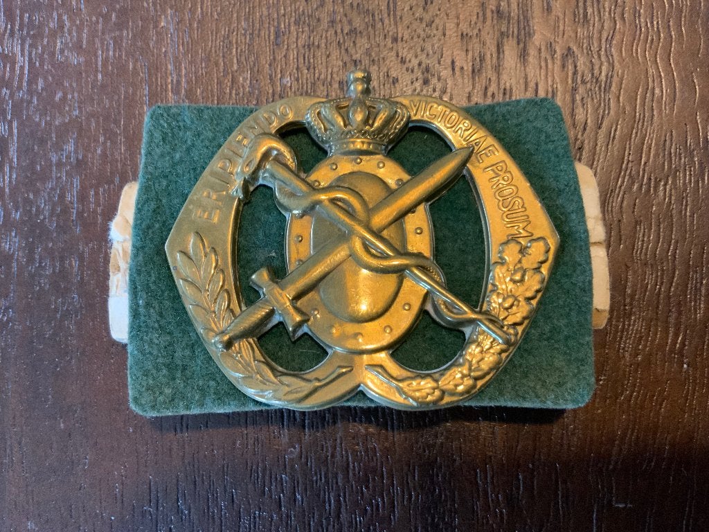 Baretembleem Regiment Geneeskundige Troepen, Verzamelen, Ophalen of Verzenden, Landmacht, Nederland, Embleem of Badge