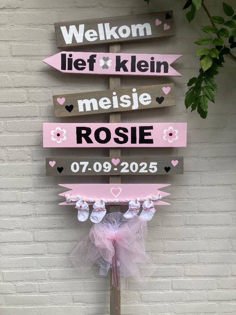 geboorte bord meisje, Ophalen of Verzenden, Nieuw, Geboortebord
