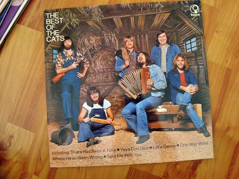 LP:THE CATS THE BEST OF (1973), Ophalen of Verzenden, Gebruikt, LP