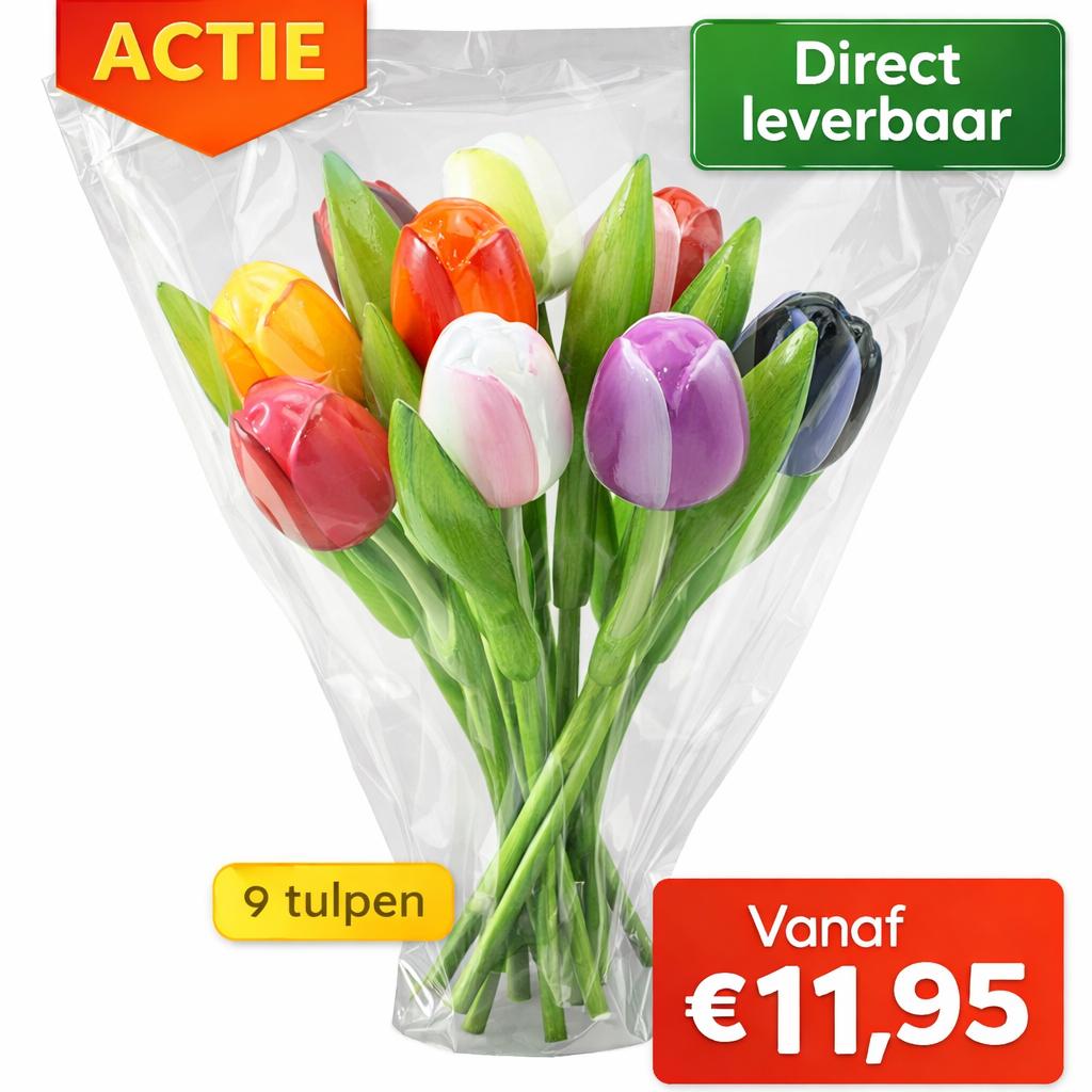 Tulpen Boeket 9 Stuks – Luxe Cadeau – Vanaf €11,95, Werkschoenendeal, Marktplaats@werkschoenendeal.nl, Nieuw, Ophalen of Verzenden