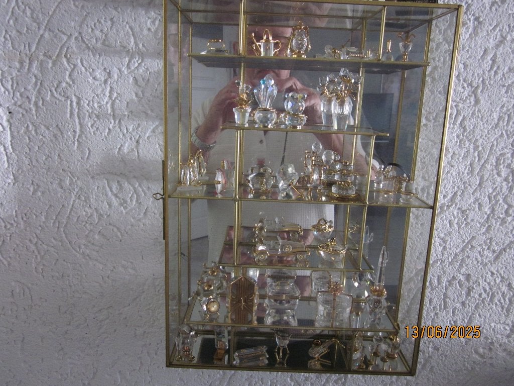 Diversen stukjes Swarovski Memories kastje 1, Verzamelen, Ophalen of Verzenden, Nieuw, Figuurtje