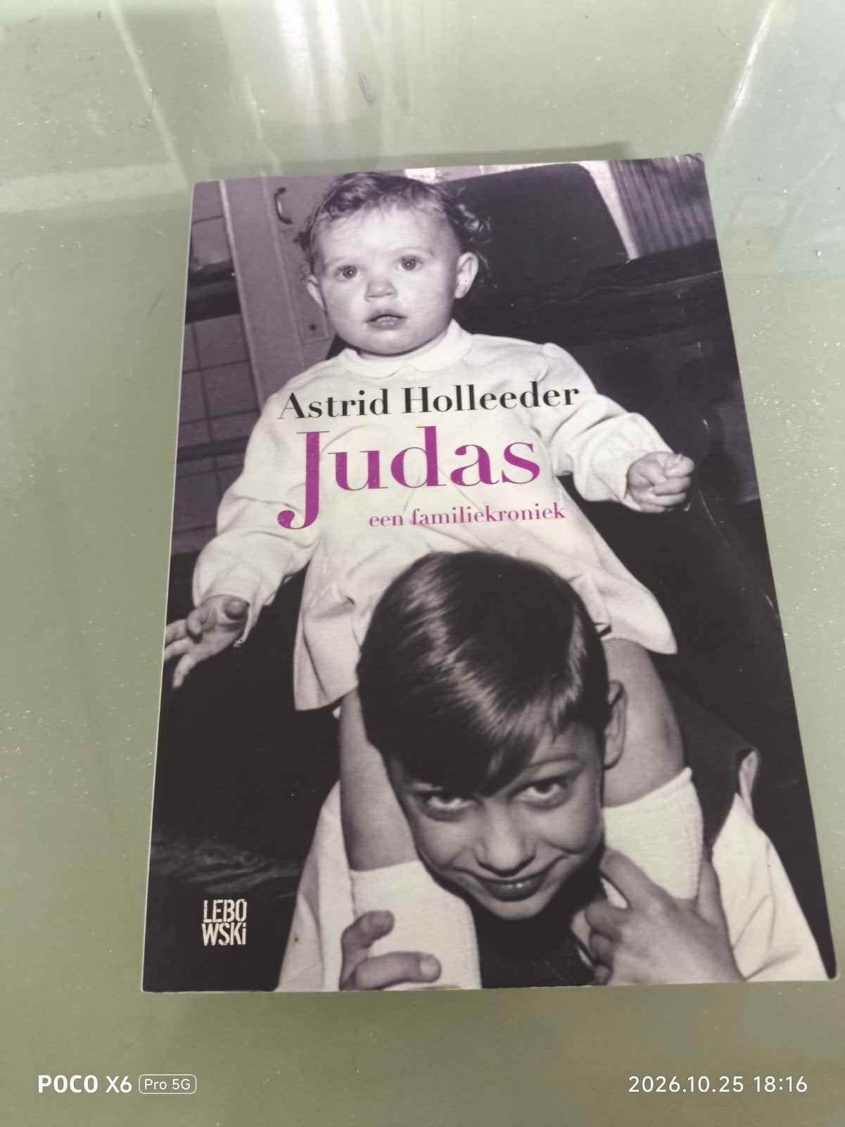 Judas: Een familiekroniek - Astrid Holleeder, Ophalen of Verzenden, Gelezen, Astrid Holleeder