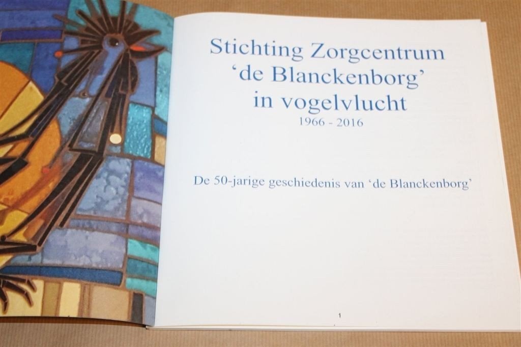 Blanckenborg — 50 Jaar Zorgcentrum Blijham [2016], Ophalen of Verzenden, Gelezen