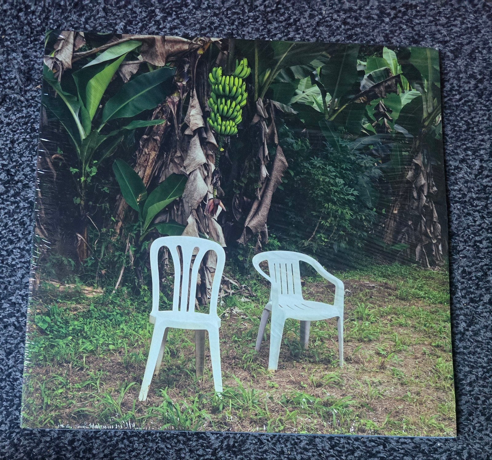 bad bunny debi tirar mas foto's 2lp, Cd's en Dvd's, Vinyl | Hiphop en Rap, Ophalen of Verzenden