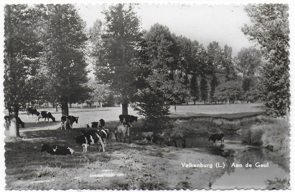 Valkenburg Aan De Geul Ongelopen Oude Ansichtkaart ( B5142, Ophalen of Verzenden, 1960 tot 1980, Gelopen, Limburg