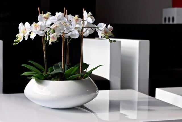 Witte ovale plantenbak, Huis en Inrichting, Woonaccessoires | Vazen, Overige materialen, Wit, Ophalen of Verzenden, Zo goed als nieuw