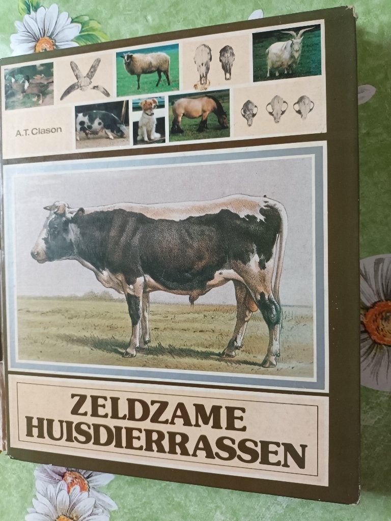 Zeldzame huisdierrassen stichting vee boeren koeien schapen, Gelezen, Ophalen of Verzenden, Vee, A T. Clason