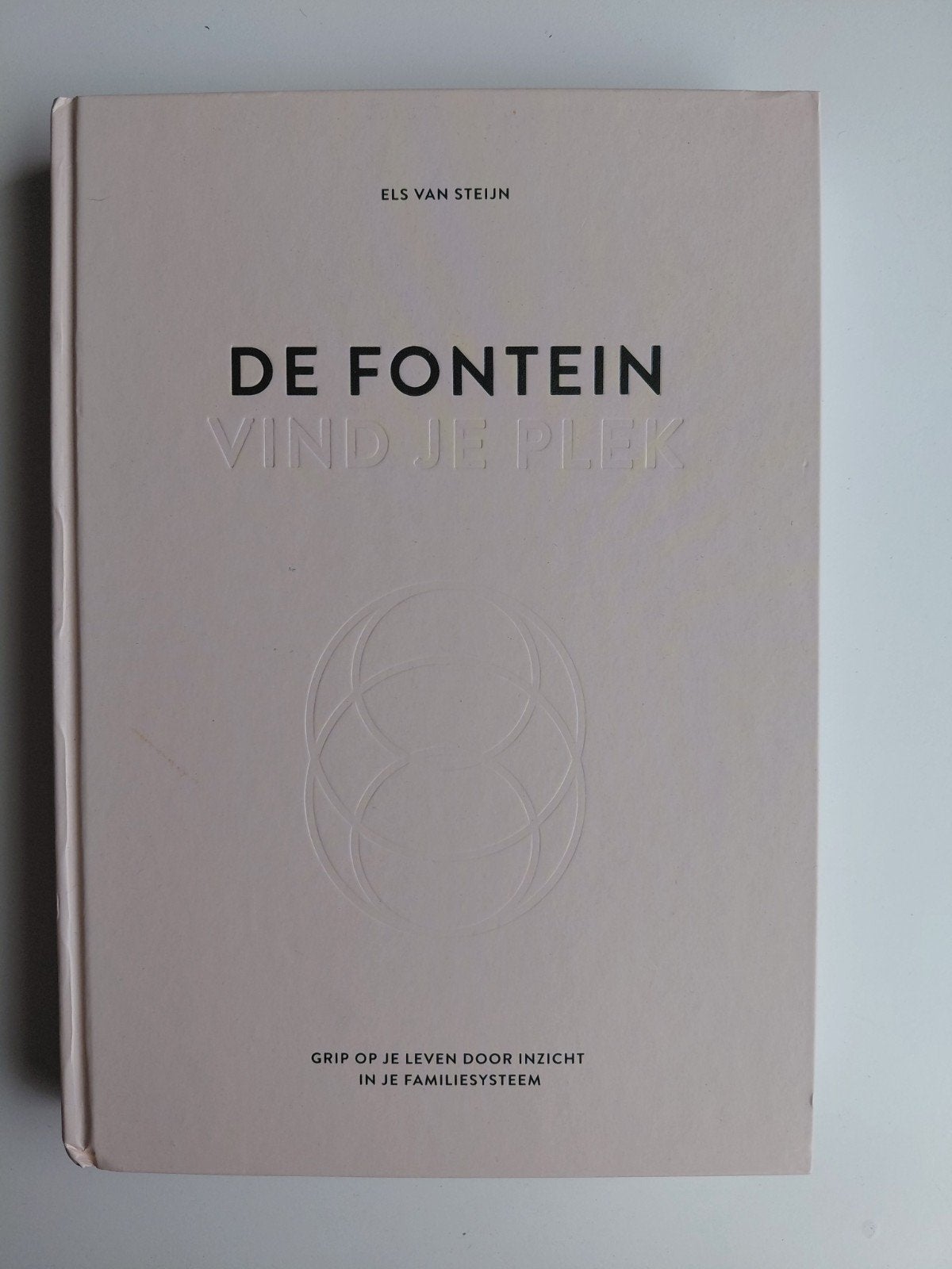 Els van Steijn - De fontein, vind je plek, Ophalen of Verzenden, Els van Steijn, Ontwikkelingspsychologie, Zo goed als nieuw