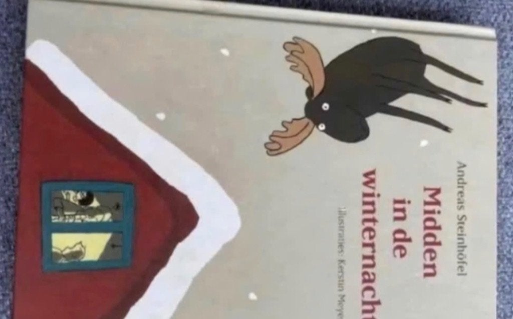 Boek Midden in de winternacht, Boeken, Ophalen, Fictie algemeen, Andreas Steinhöfel, Zo goed als nieuw