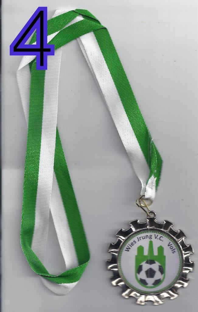 Mr204 carnavals medaille wies jrung vc vols ( vaals ) 2014, Ophalen of Verzenden, Overige materialen