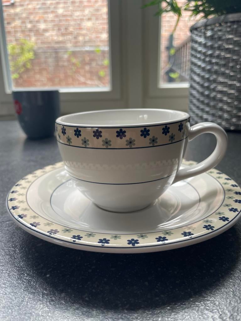 Te koop gevraagd Royal Orchid kop en schotel, Huis en Inrichting, Keuken | Servies, Keramiek, Ophalen of Verzenden, Zo goed als nieuw