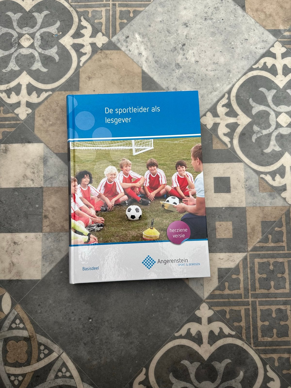 De sportleider als lesgever - Basisdeel, Ophalen of Verzenden, Gelezen, Overige niveaus, Overige vakken