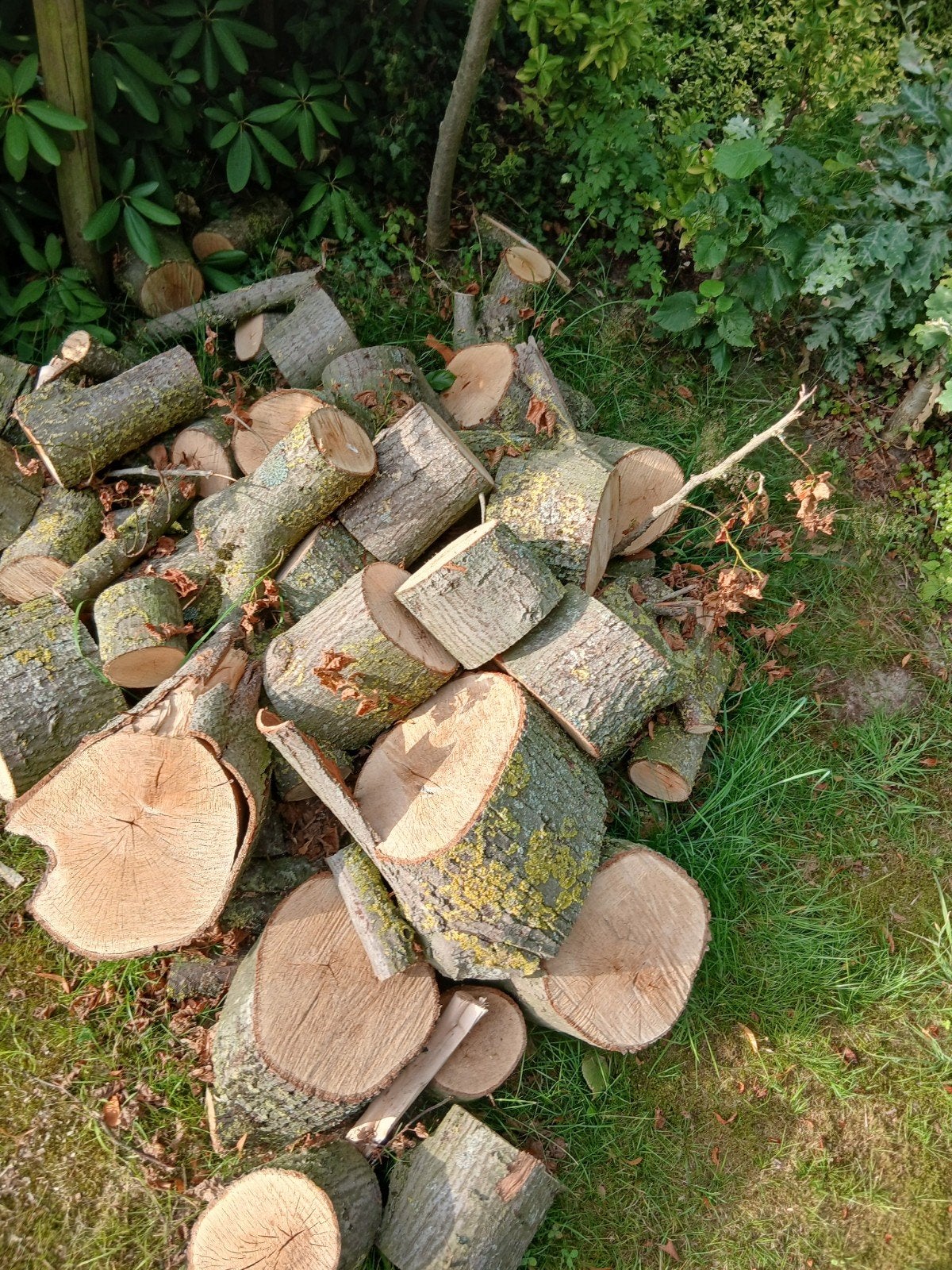 brandhout, Minder dan 3 m³, Ophalen