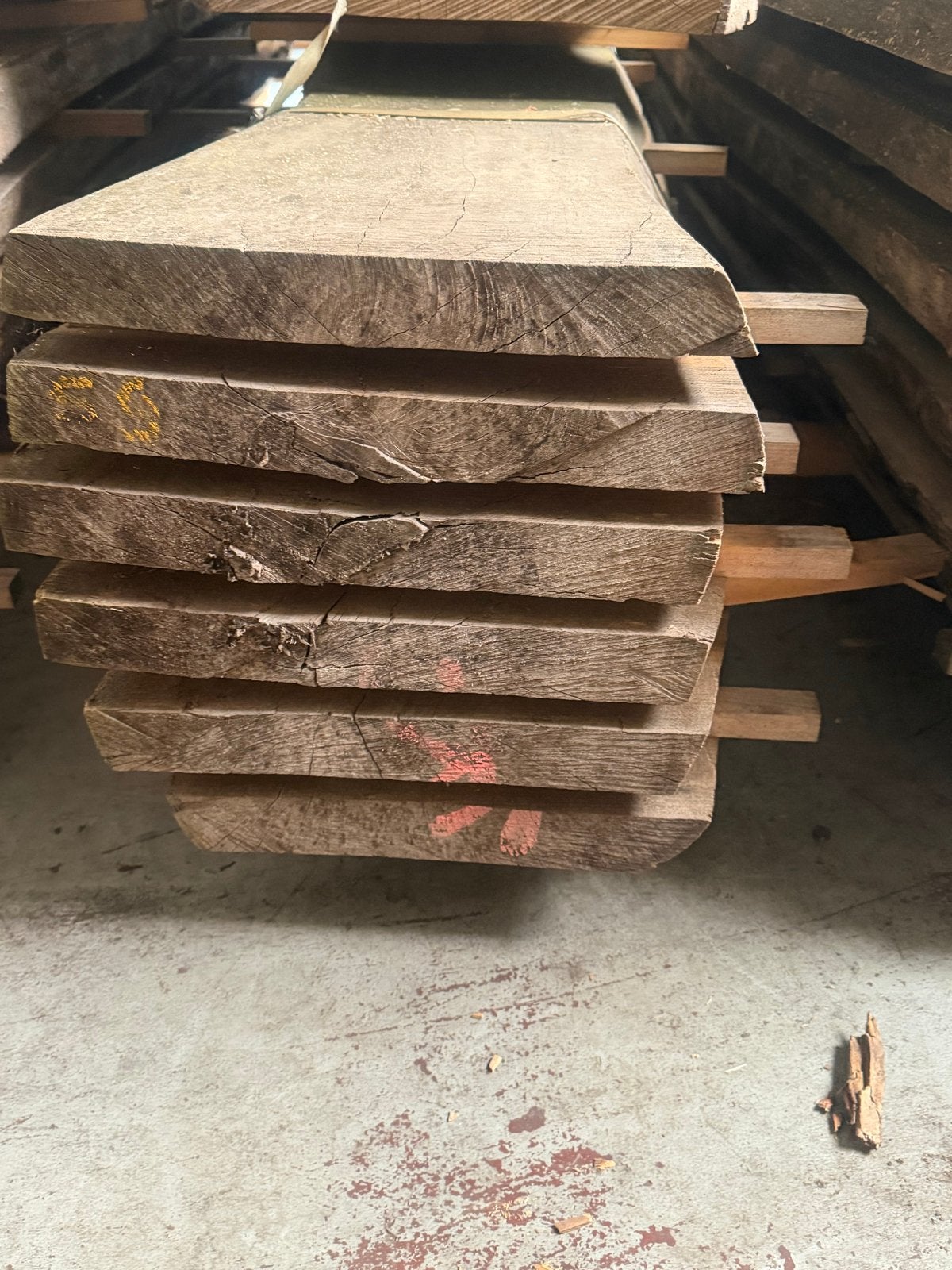 Beuken schaaldelen met slaap, Ophalen, Nieuw, Planken