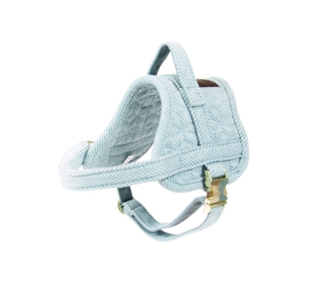KENTUCKY Wool Harnas Lichtblauw M Borst 58-76 cm OP=OP!!!, Ophalen of Verzenden, Nieuw, Hondentuig