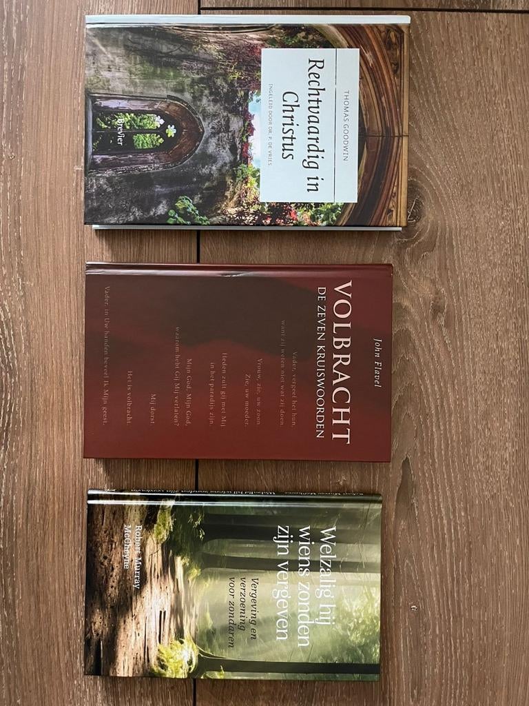 Set van 3 Christelijke Boeken: Goodwin, Flavel, McCheyne, Ophalen of Verzenden, Zo goed als nieuw, Thomas Goodwin, John Flavel, Robert Murray McCheyne