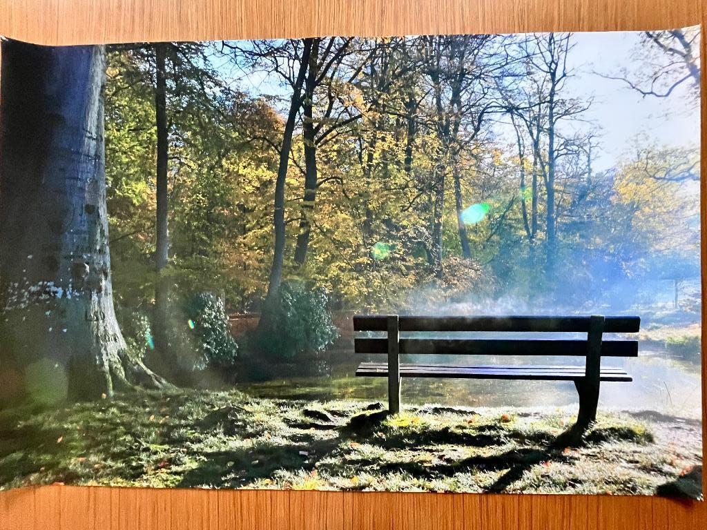 Canvas poster herfst, Huis en Inrichting, 50 tot 75 cm, Ophalen of Verzenden, Zo goed als nieuw, 75 tot 100 cm
