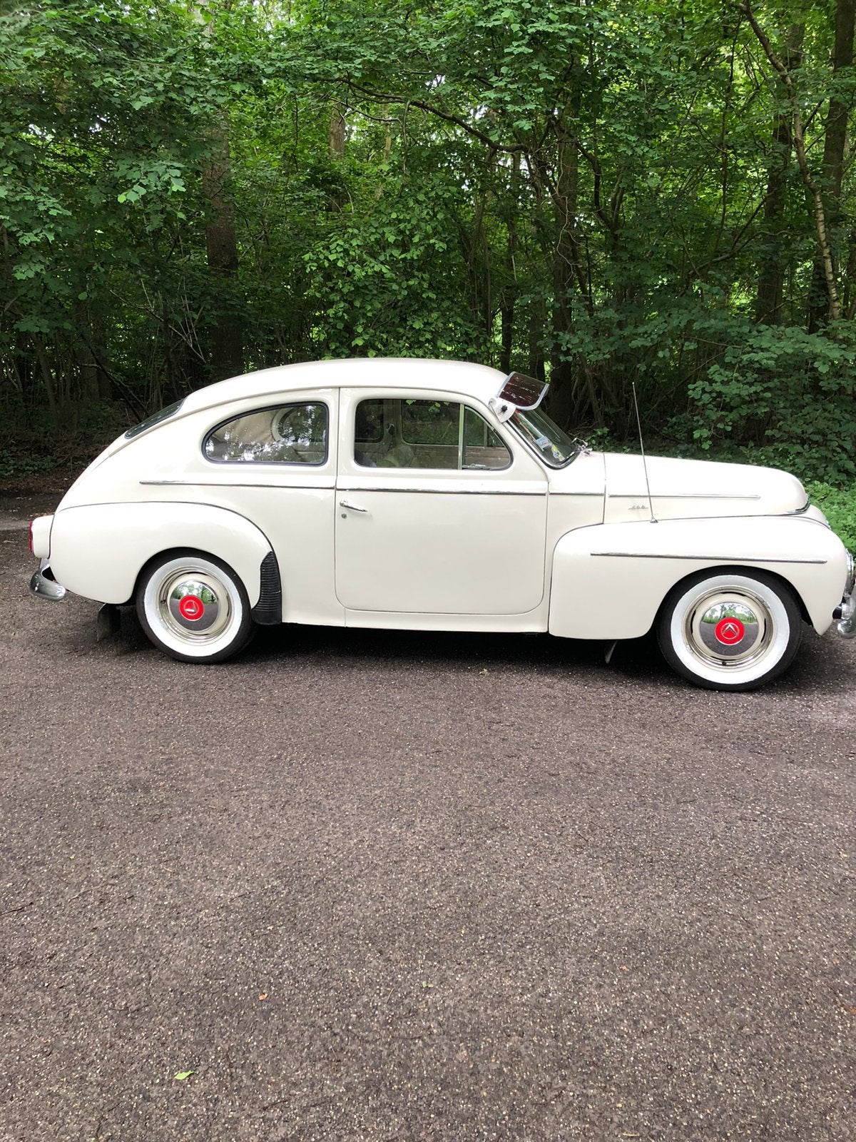 Volvo Pv544 1.8 C 1964 Wit, foto 8