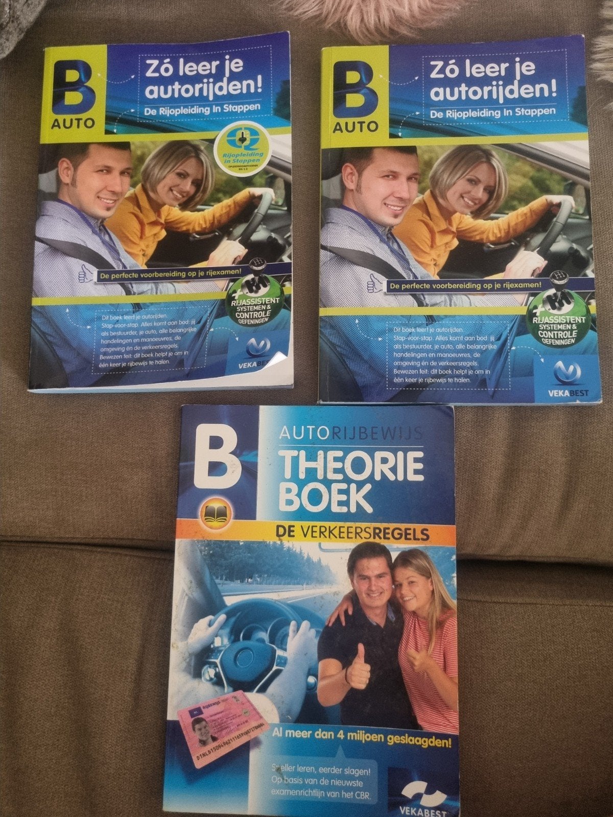 Rijopleiding in Stappen & Theorieboek (VekaBest), Boeken, Ophalen of Verzenden