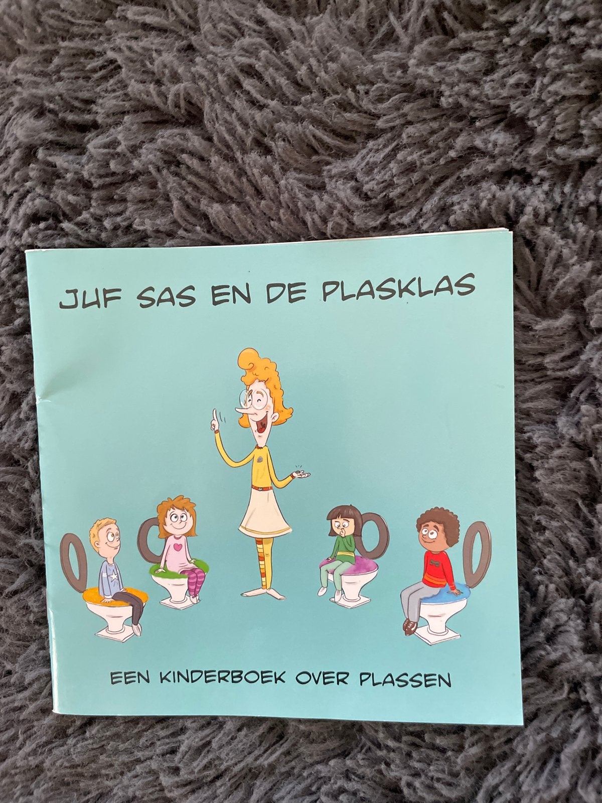Juf Sas en de Plasklas - Kinderboek over plassen, Ophalen of Verzenden, Zo goed als nieuw, 2 tot 3 jaar