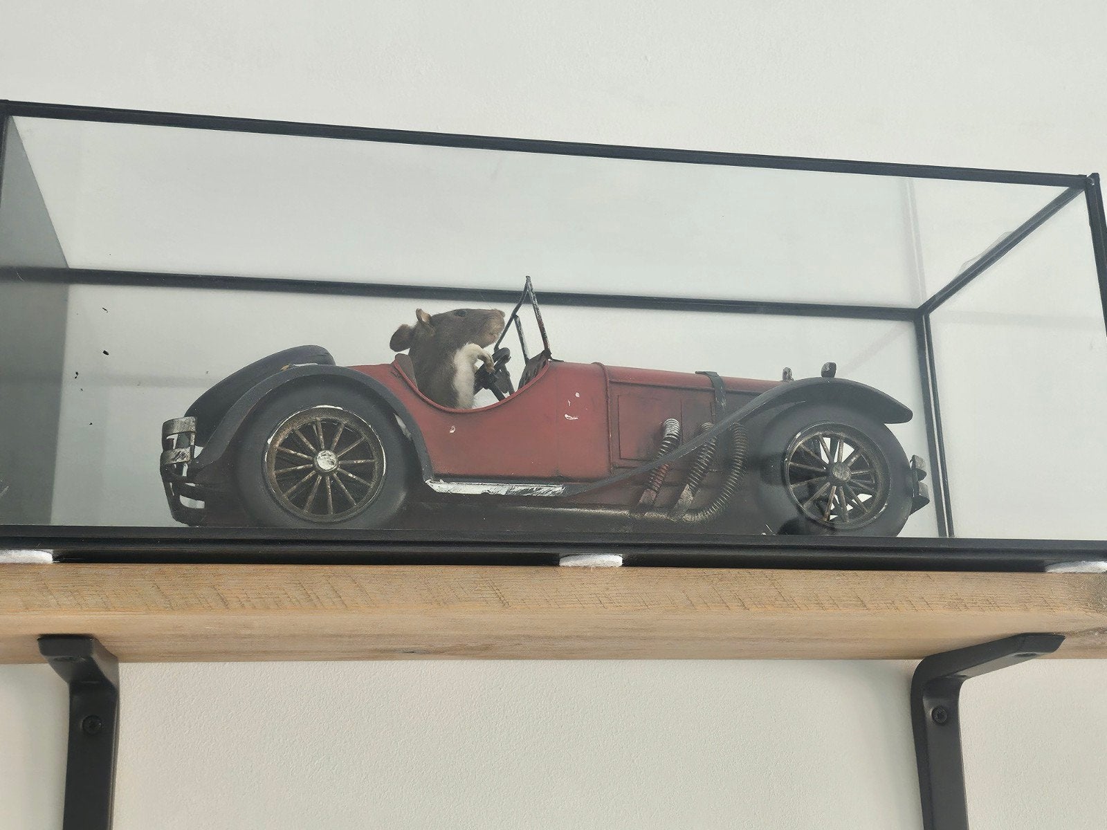 Vintage modelauto met hamster in vitrine, Verzamelen, Ophalen, Gebruikt, Auto's