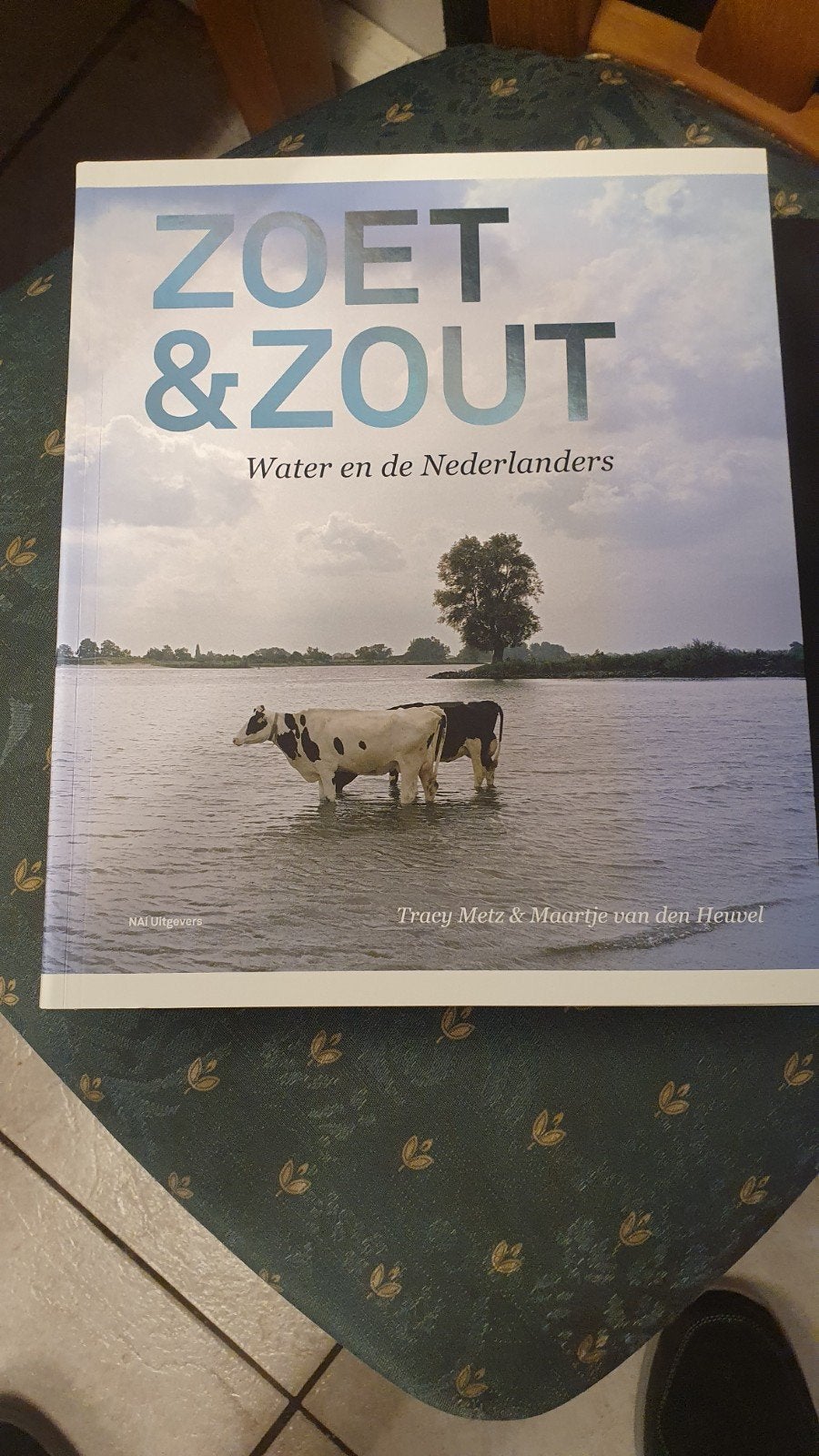 Zoet & Zout: Water en de Nederlanders - Tracy Metz, Boeken, Ophalen of Verzenden, Zo goed als nieuw, Overige onderwerpen, Tracy Metz & Maartje van den Heuvel